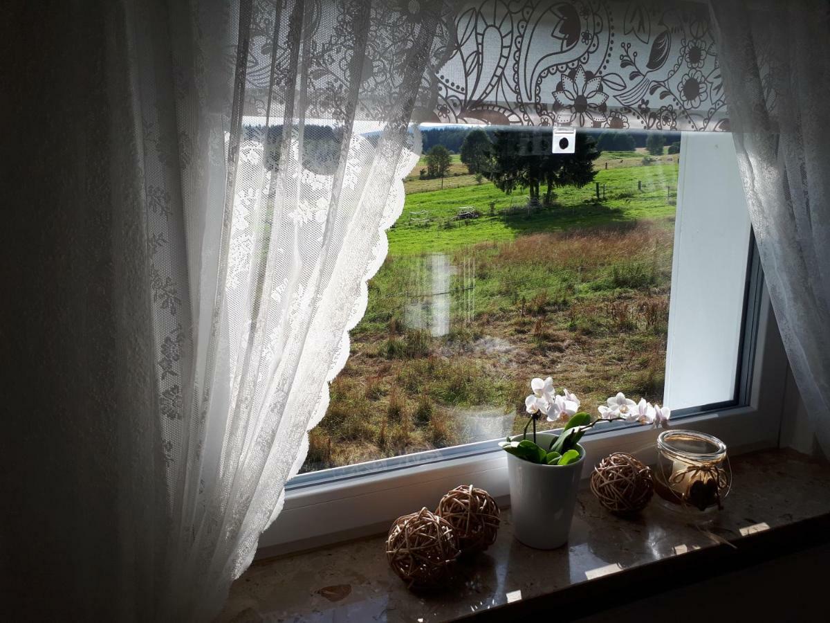 Weitblick Apartment Wolfshagen (Lower-Saxony)