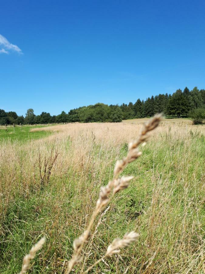 Weitblick