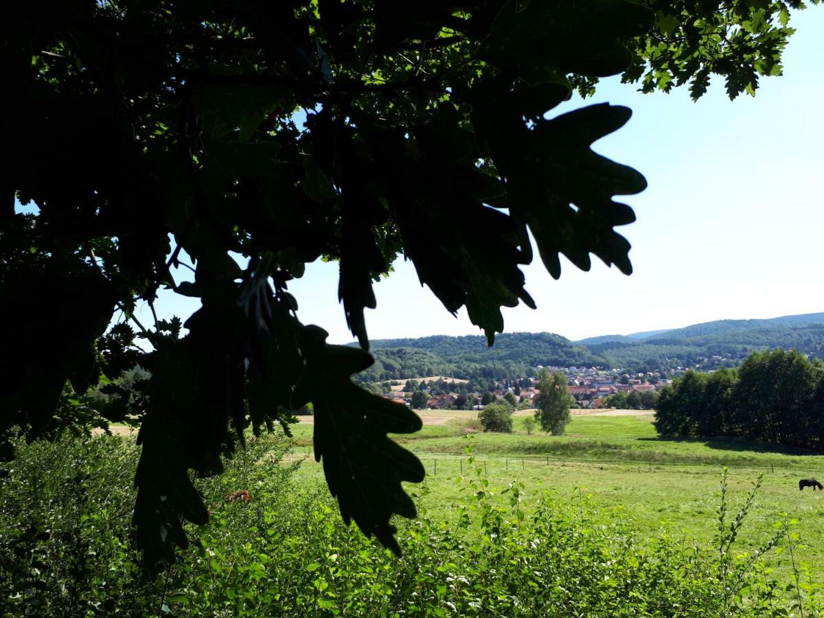 Weitblick Apartment Wolfshagen (Lower-Saxony)