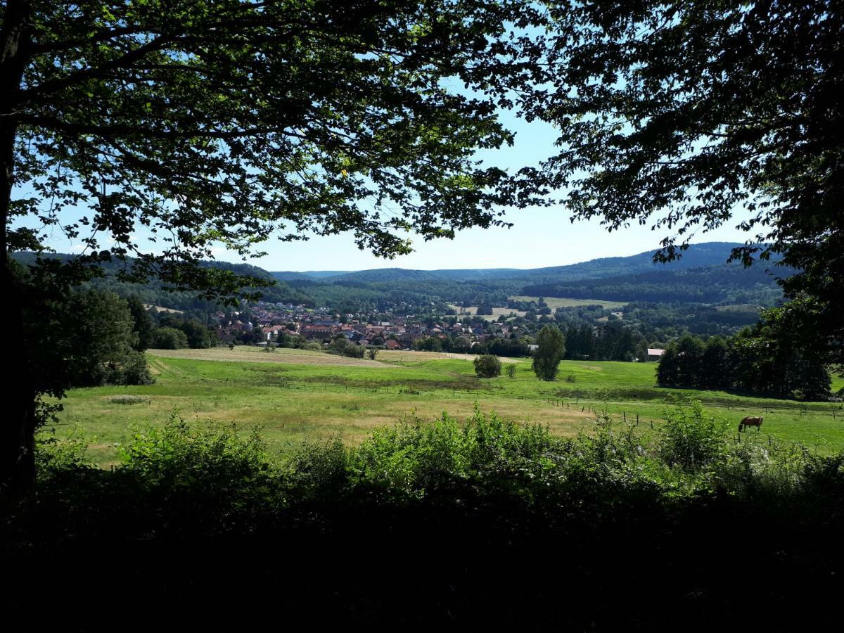 Weitblick