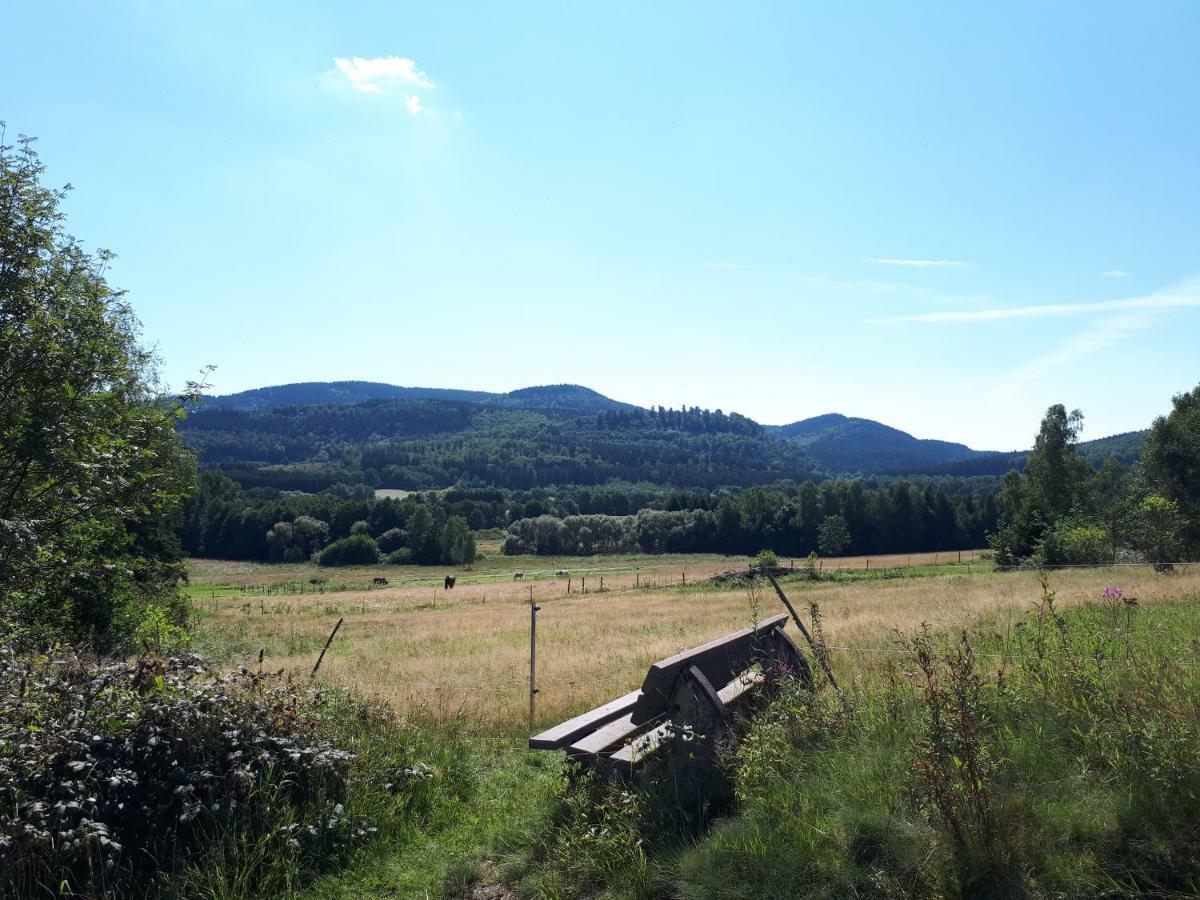 Weitblick